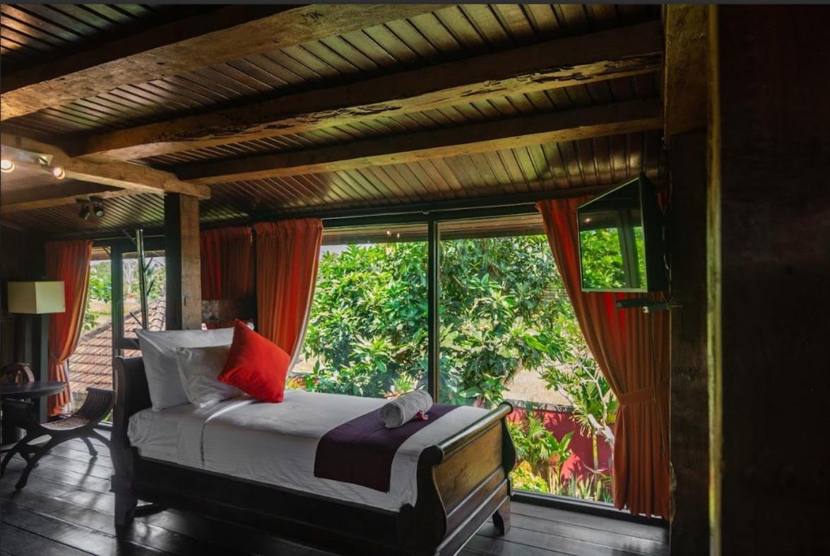 Mengwi Balam Bali Villa מראה חיצוני תמונה